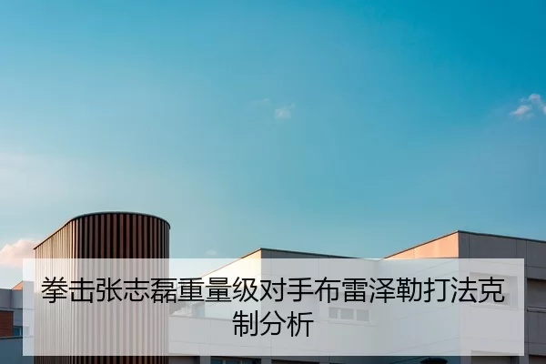 拳击张志磊重量级对手布雷泽勒打法克制分析