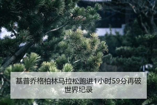 ji-pu-qiao-ge-bo-lin-ma-la-song-pao-jin-xiao-shi-fen-zai-po-shi-jie-ji-lu-2-152.jpg