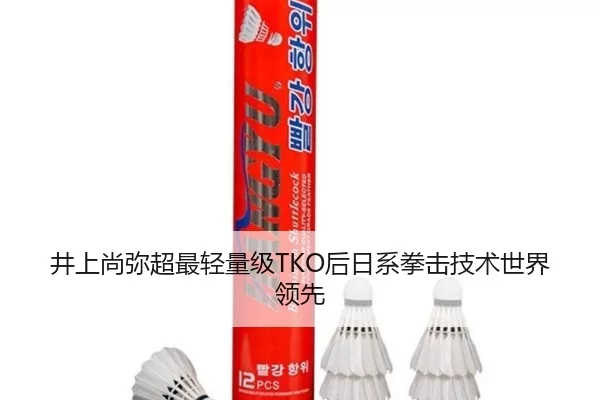 井上尚弥超最轻量级TKO后日系拳击技术世界领先